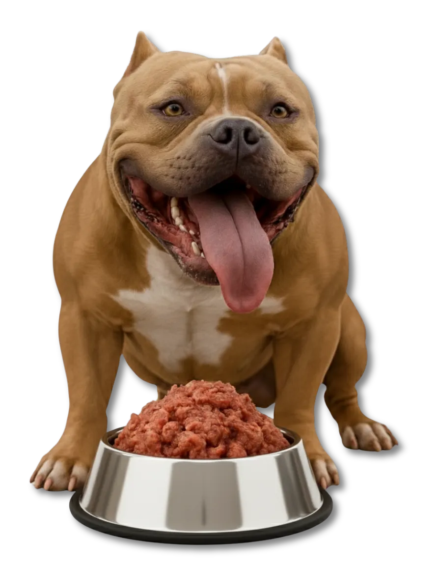 Perro feliz comiendo